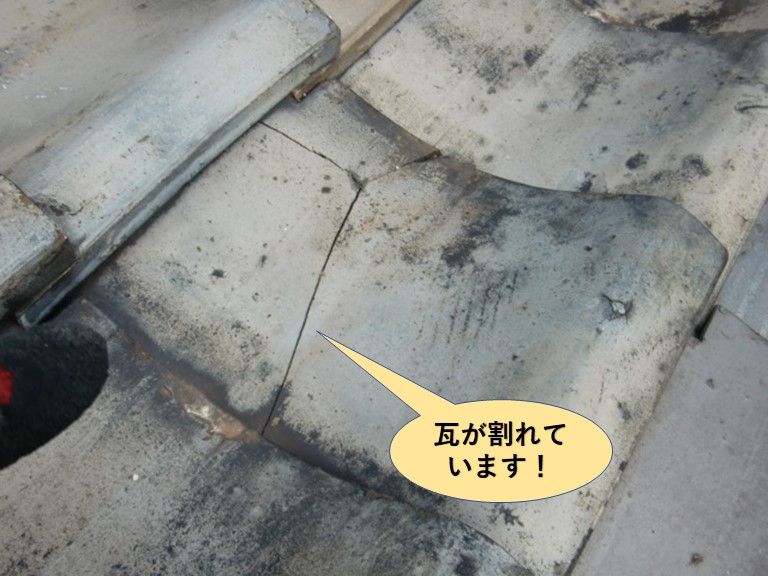 貝塚市の瓦が割れています