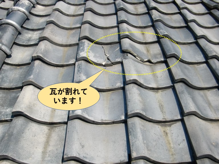 貝塚市の瓦が割れています