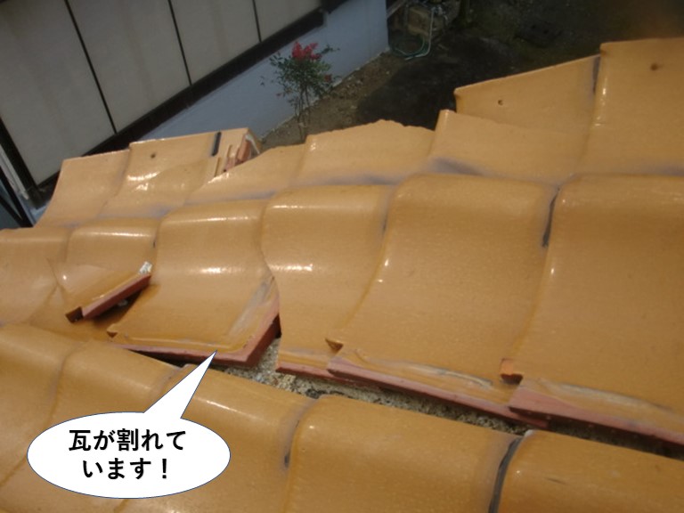 泉南市の瓦が割れています