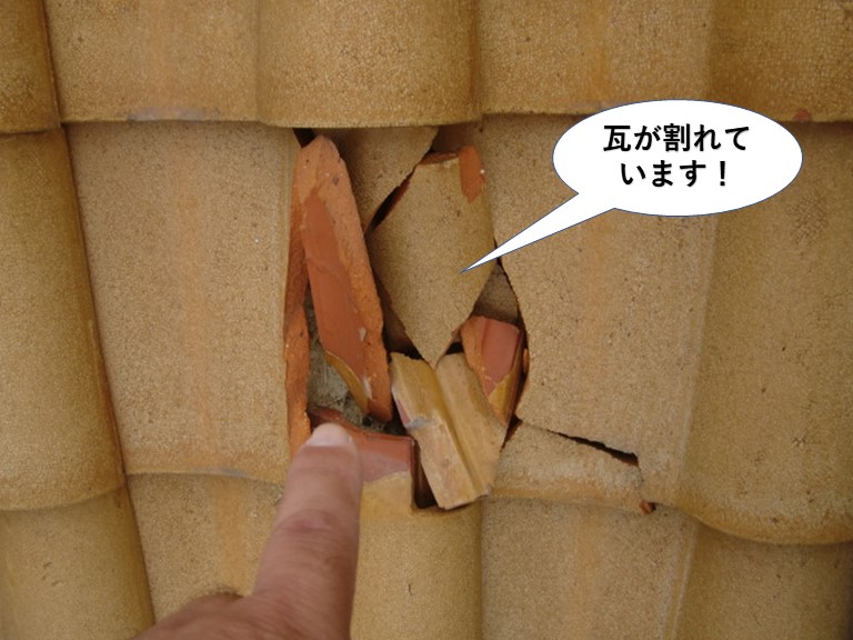 和泉市の瓦が割れています