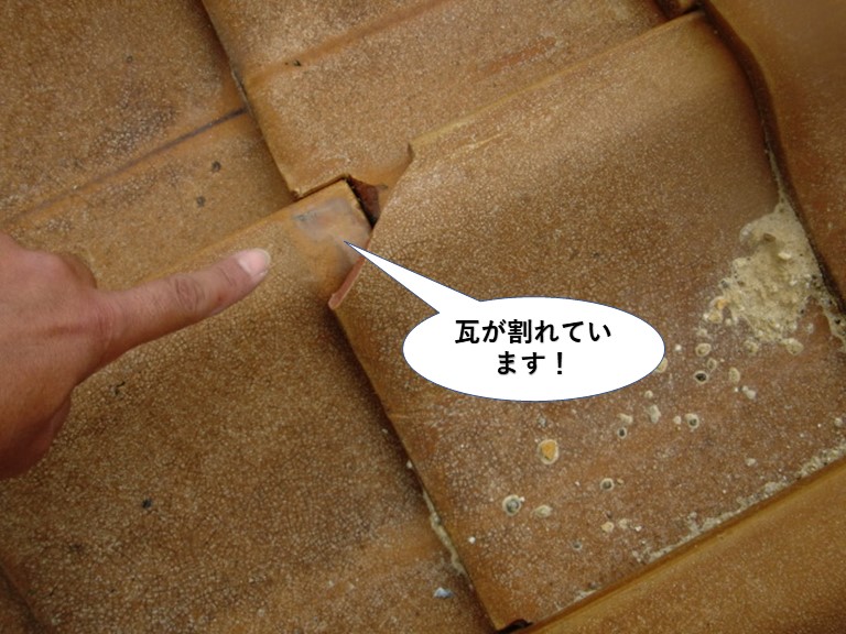 和泉市の瓦が割れています
