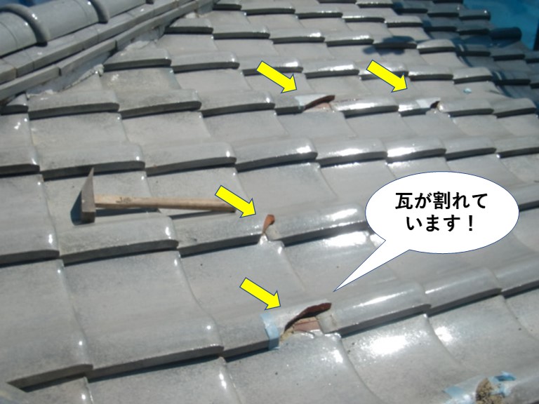 泉南市の瓦が割れています