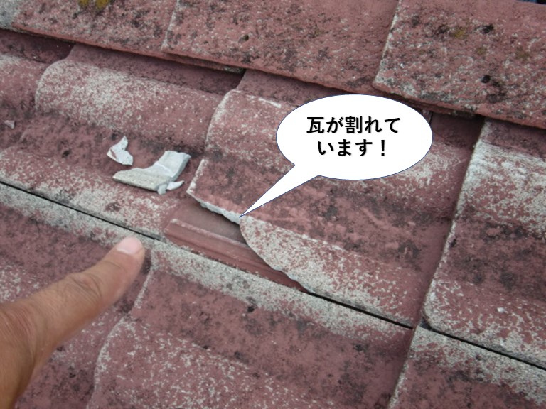 忠岡町の瓦が割れています