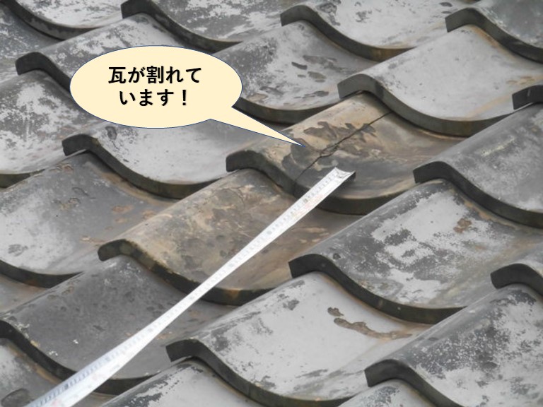 岸和田市の瓦が割れています