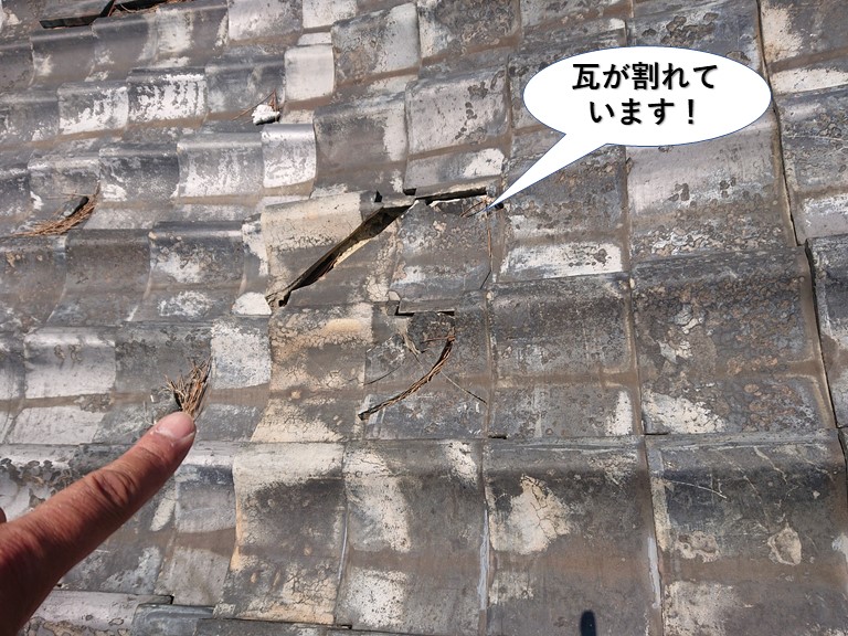 岸和田市の瓦が割れています