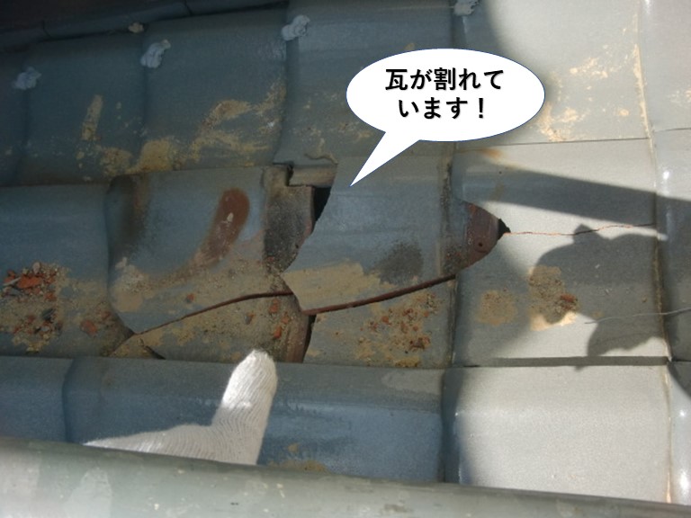 和泉市の下屋の瓦が割れています