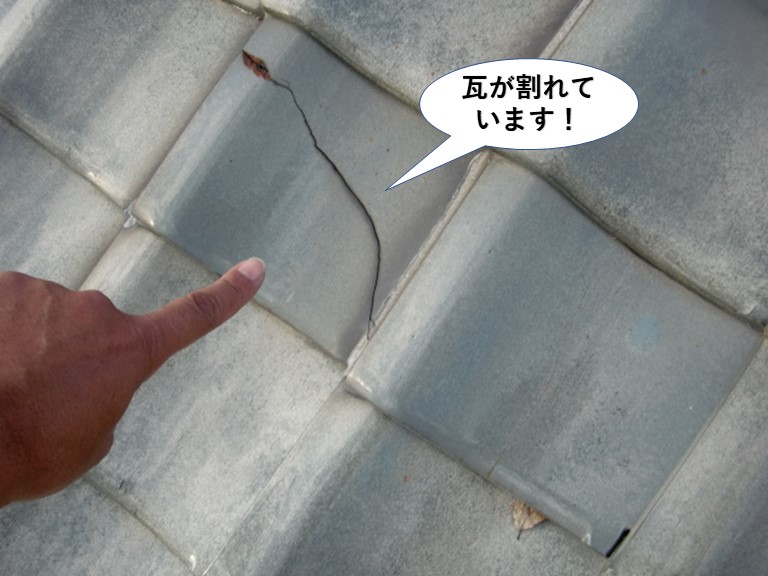 岸和田市の瓦が割れています
