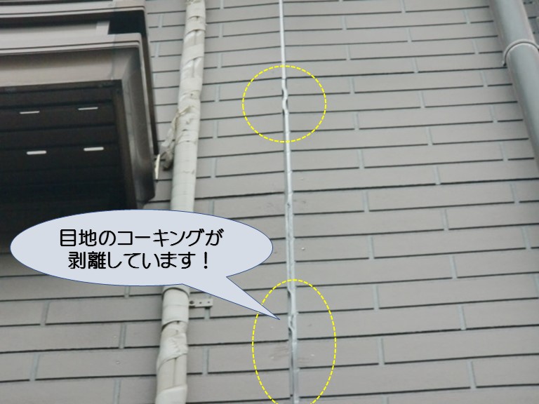 和泉市のサイディングの目地剥離