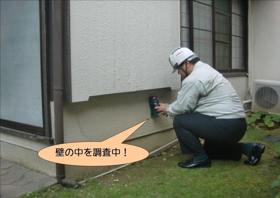 泉北郡忠岡町で壁の中を調査中！