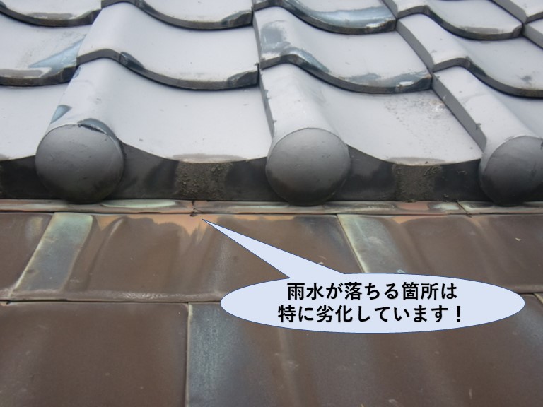 下屋の銅板に穴が空いています