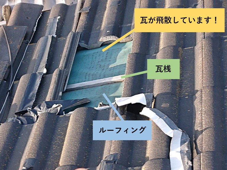 和泉市の瓦が飛散