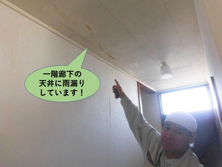 泉南郡岬町の一階廊下の天井に雨漏りしています