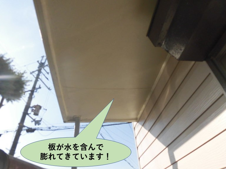 岸和田市のバルコニーの下端の板が水を含んで膨れてきています