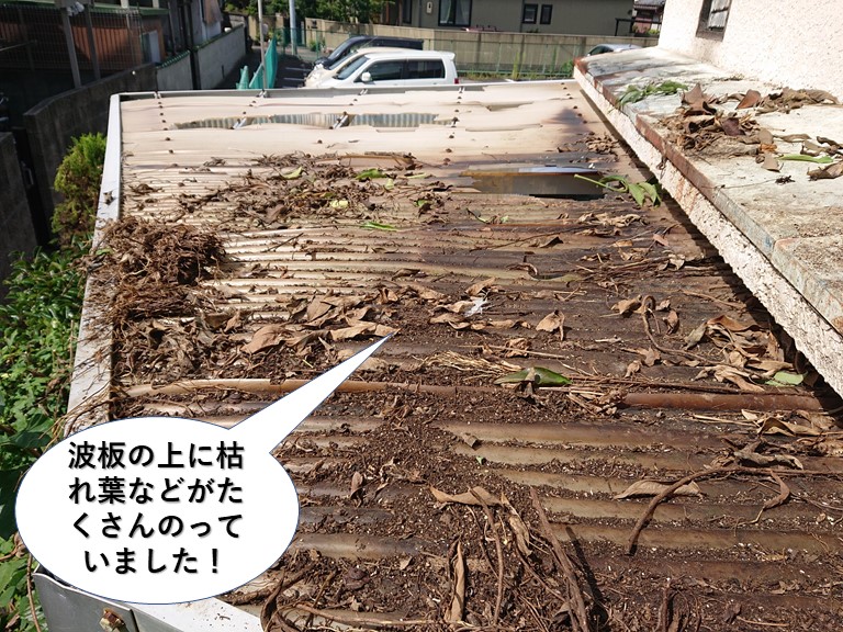 岸和田市の波板の上に枯れ葉などがたくさん載っていました