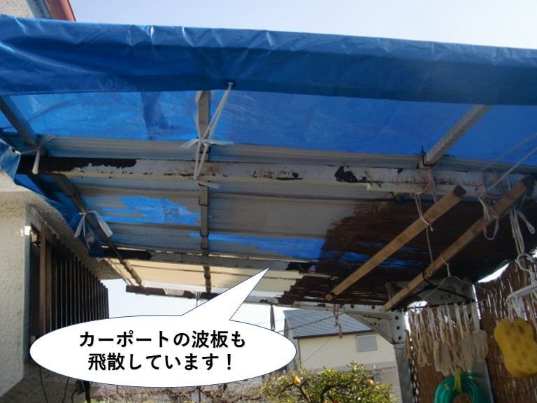 忠岡町のカーポートの波板も飛散しています