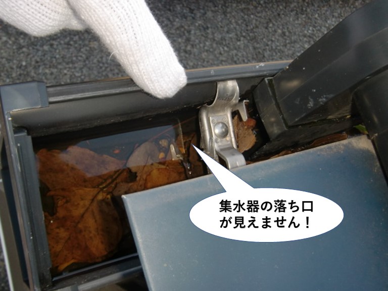高石市の集水器の落ち口が見えません