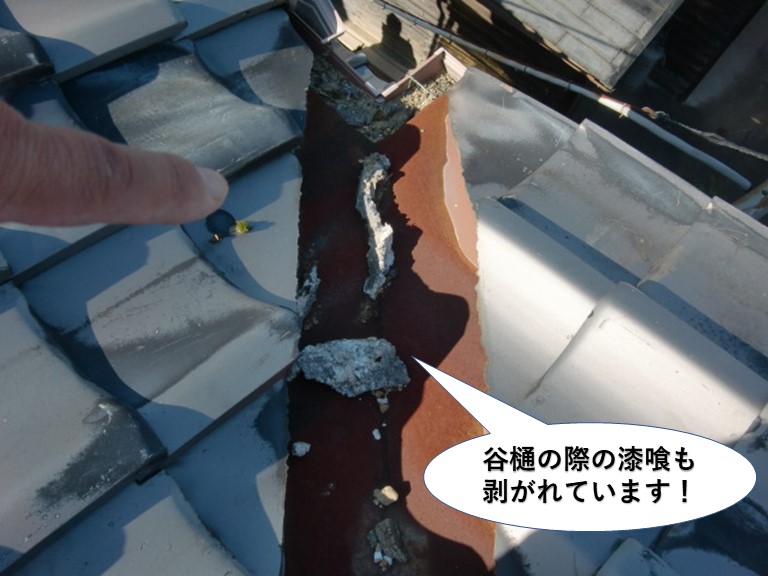 阪南市の谷樋の際の漆喰も剥がれています