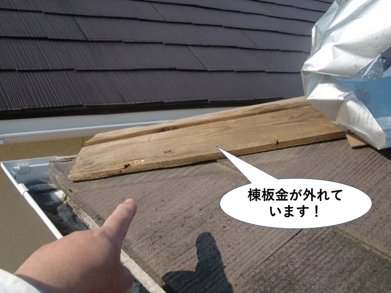 忠岡町の棟板金が外れています