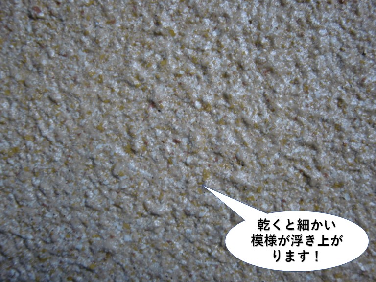 忠岡町で塗装した塗料が乾くと細かい模様が浮き上がります