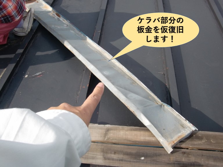 泉北郡忠岡町のケラバ部分の板金を仮復旧します