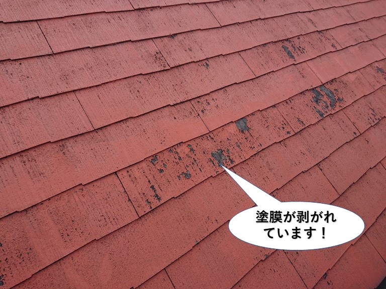 泉佐野市の屋根の塗膜が剥がれています