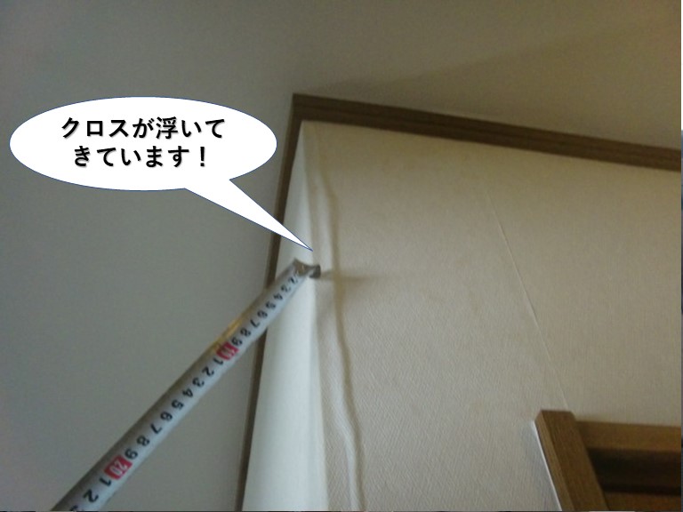 和泉市の玄関のクロスが浮いてきています