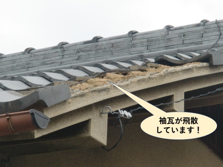 貝塚市の袖瓦が飛散