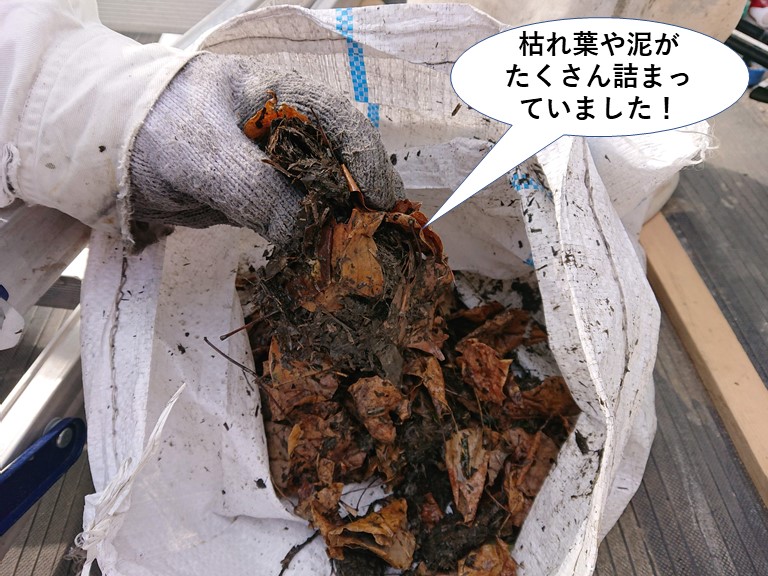 高石市の雨樋の中に枯れ葉や泥がたくさん詰まっていました