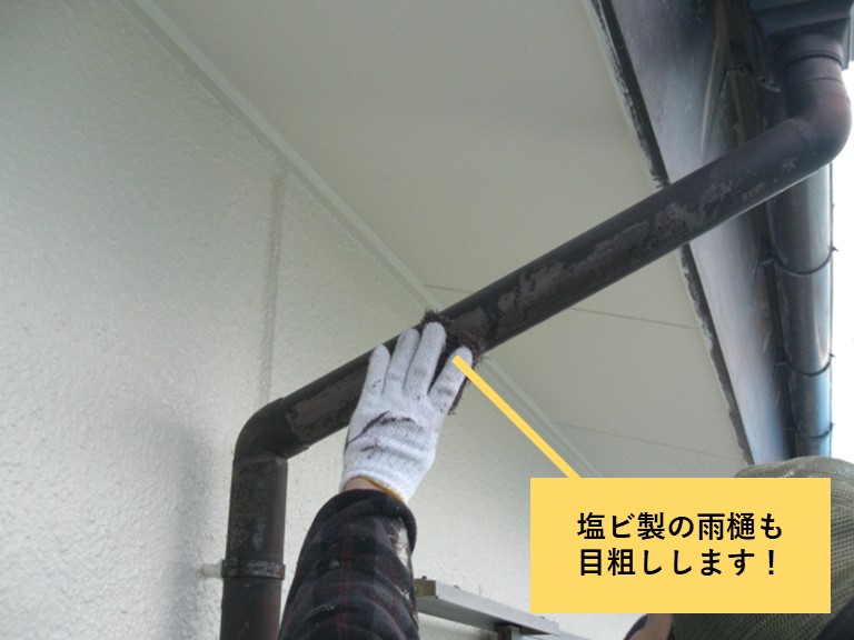 貝塚市の雨樋も目粗しします