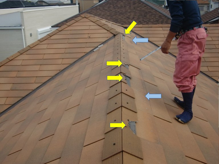 貝塚市の屋根の被害状況