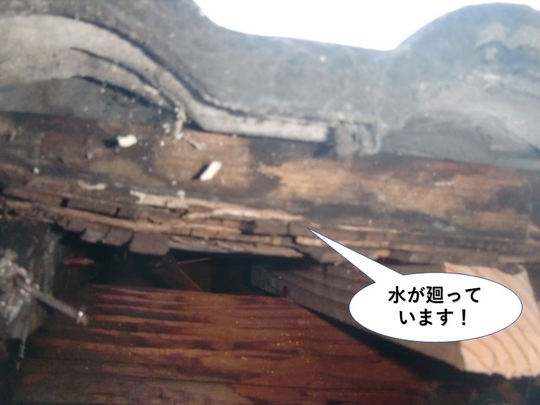 岸和田市の軒先水が廻っています