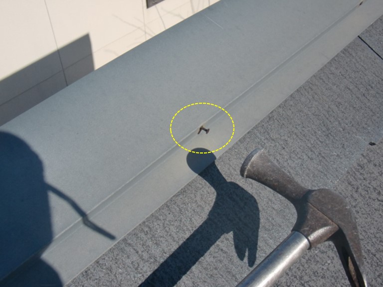 阪南市の棟板金の釘