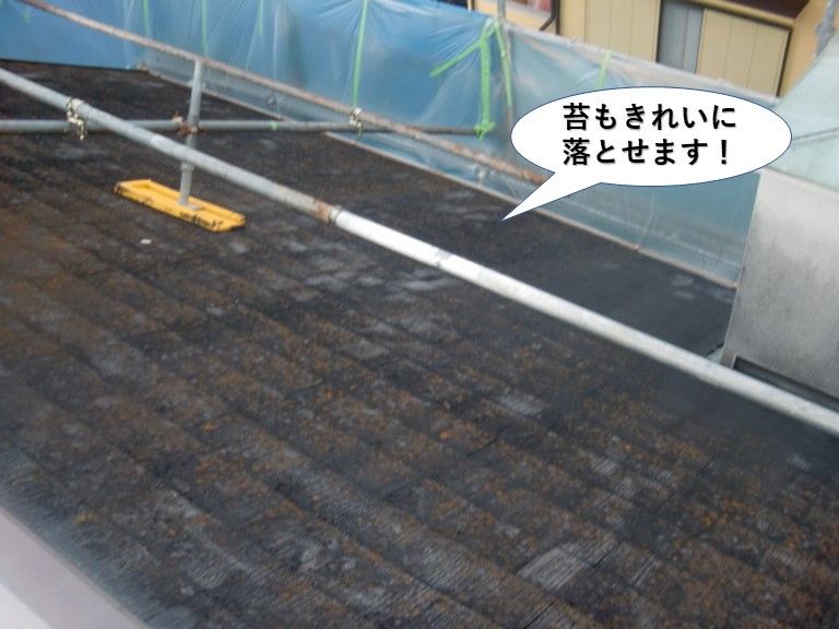 泉南市の屋根の苔もきれいに落とせます