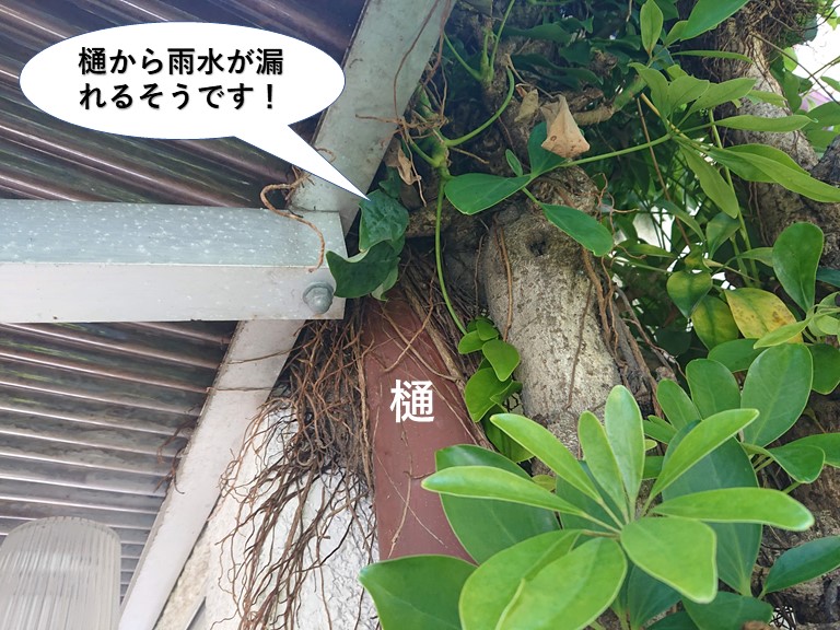 岸和田市の樋から雨水が漏れるそうです