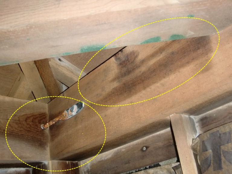 泉大津市の小屋裏に雨が浸入！