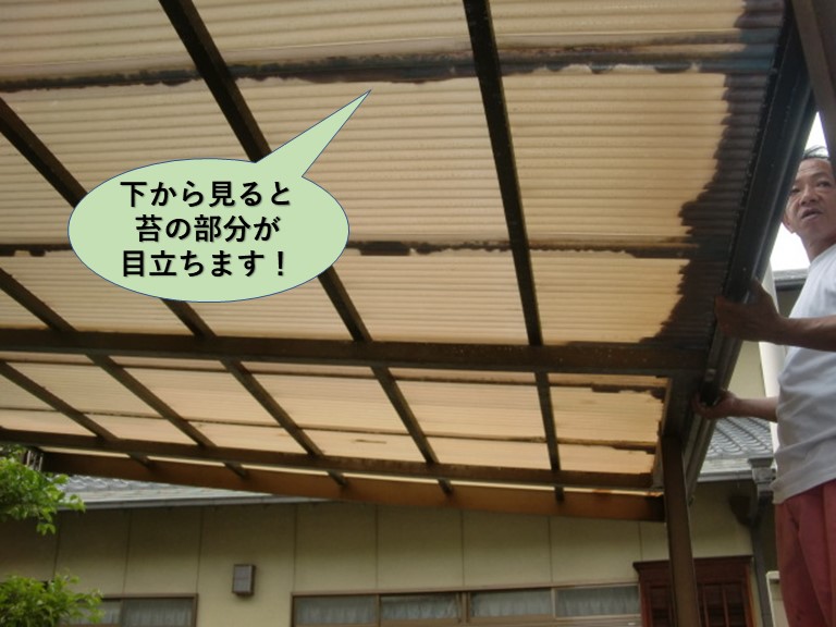 岸和田市のカーポートの下から見ても苔がはっきりと分かります