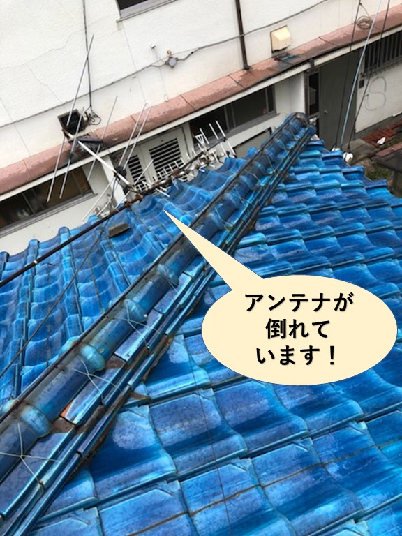 泉北郡忠岡町のテレビのアンテナが倒れています