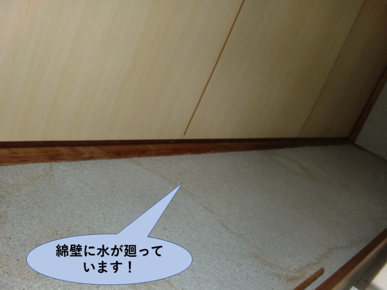 岸和田市の綿壁に水が廻っていました