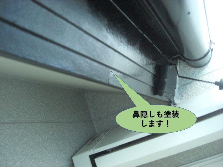 岸和田市の鼻隠し塗装