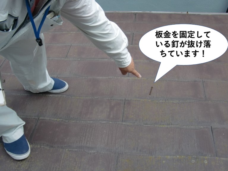 貝塚市の板金を固定している釘が抜け落ちています