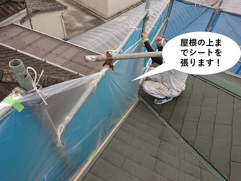 岸和田市の屋根の上までシートを張ります