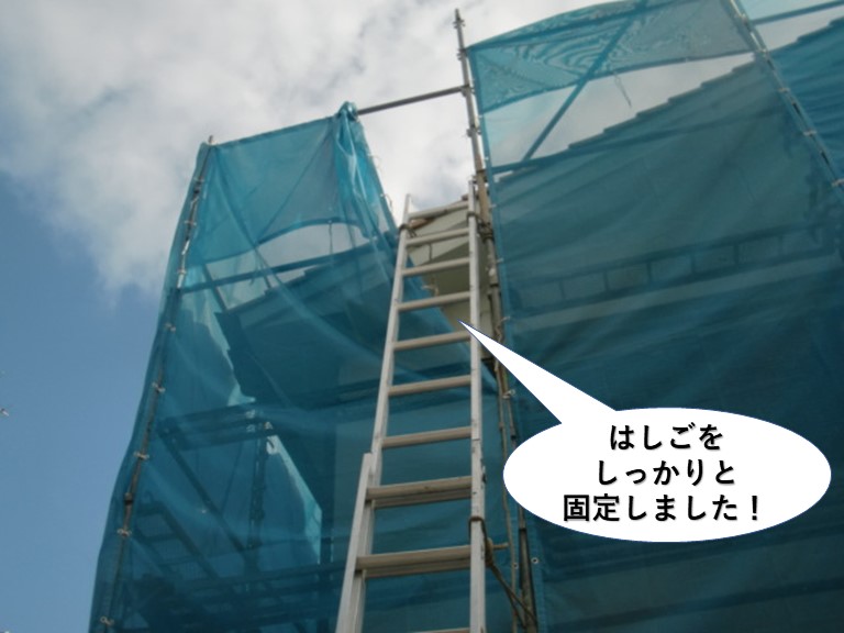 和泉市の足場にはしごをしっかりと固定