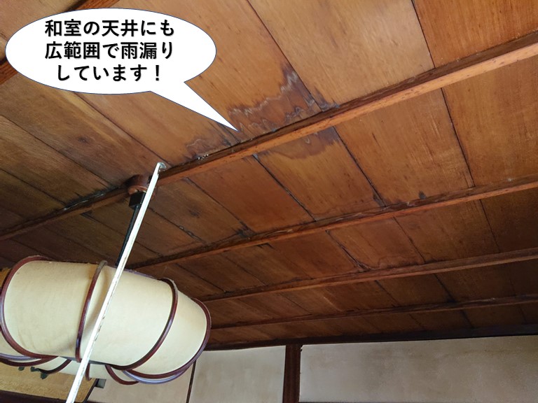 岸和田市の和室の天井にも広範囲で雨漏