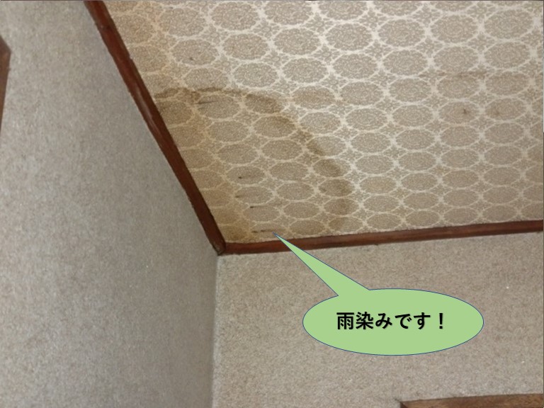 泉北郡忠岡町の玄関の天井の雨染み