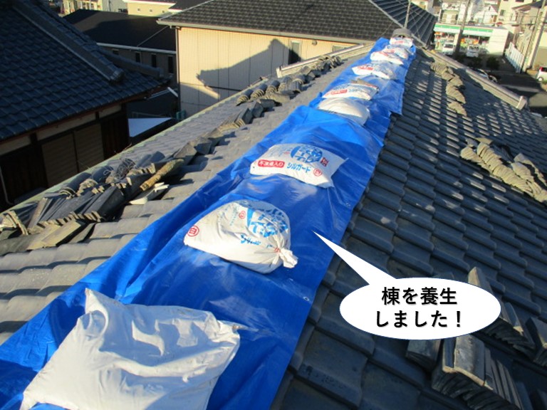 貝塚市の棟を養生しました