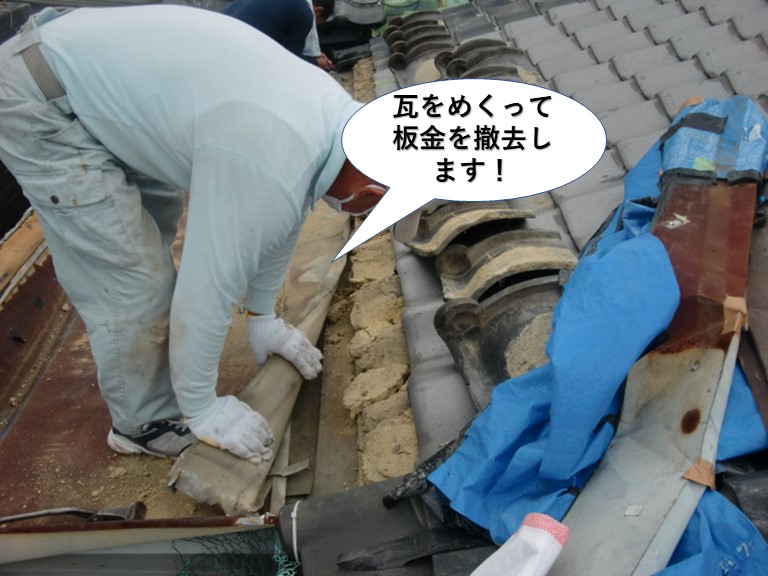 岸和田市の瓦をめくって板金を撤去します
