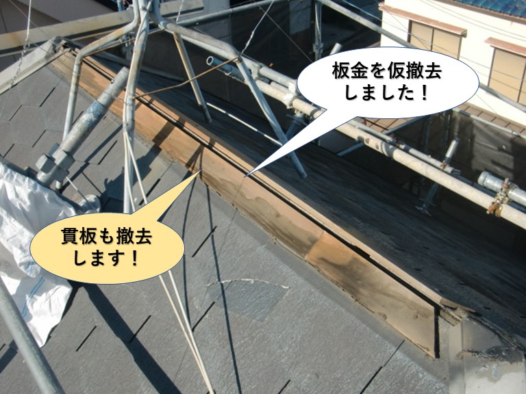 和泉市の棟板金を仮撤去しました