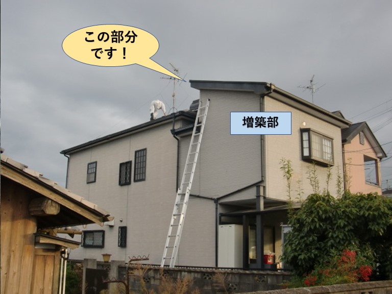 貝塚市の増築部の屋根