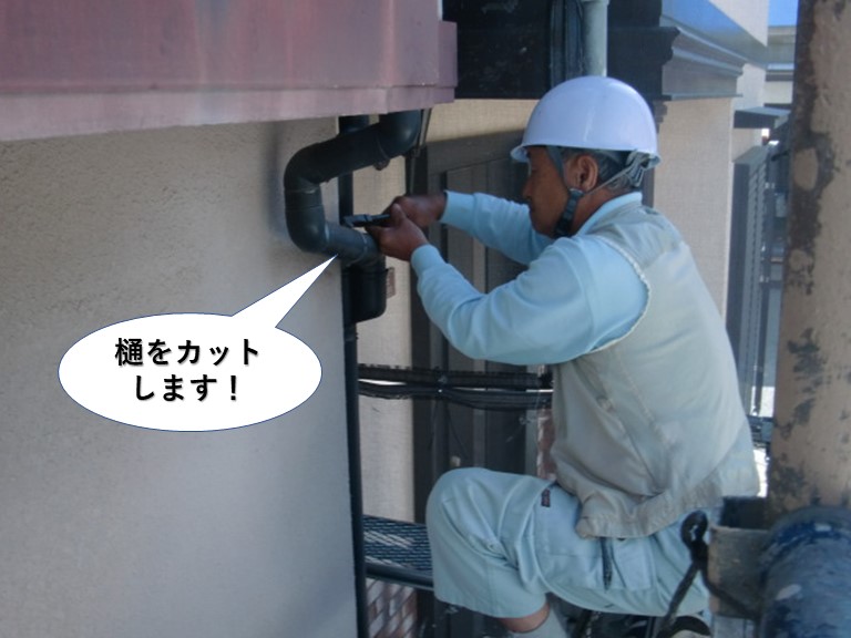 和泉市の樋をカットします