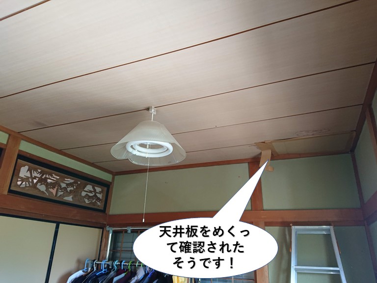 泉佐野市の天井板をめくって確認されたそうです